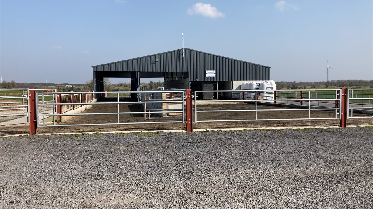 Buildings Focus: 26-unit parlour for 205 cows in Co. Mayo