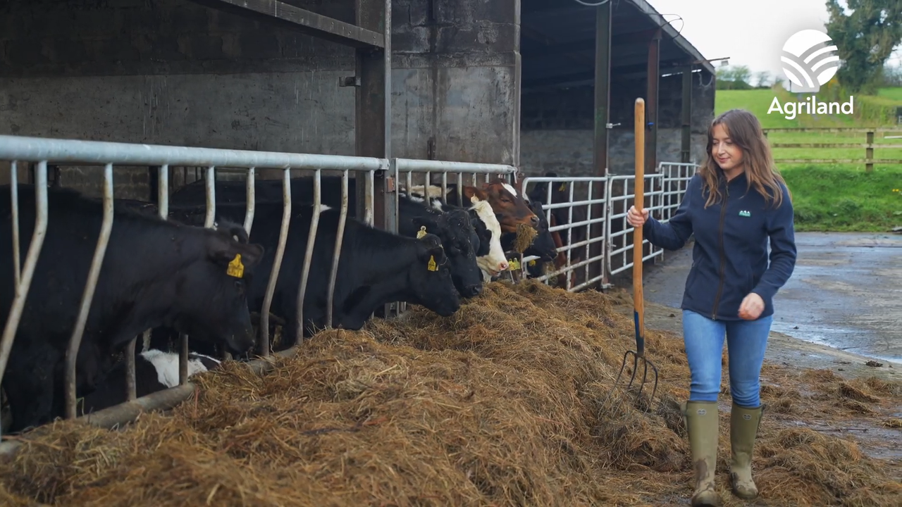 The Farmer Sharing Her Journey Online | Groundbreakers