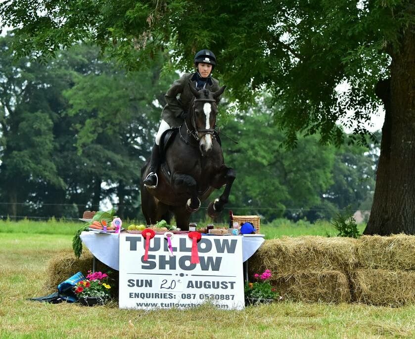 Follow the crowds up to Carlow for Tullow Show