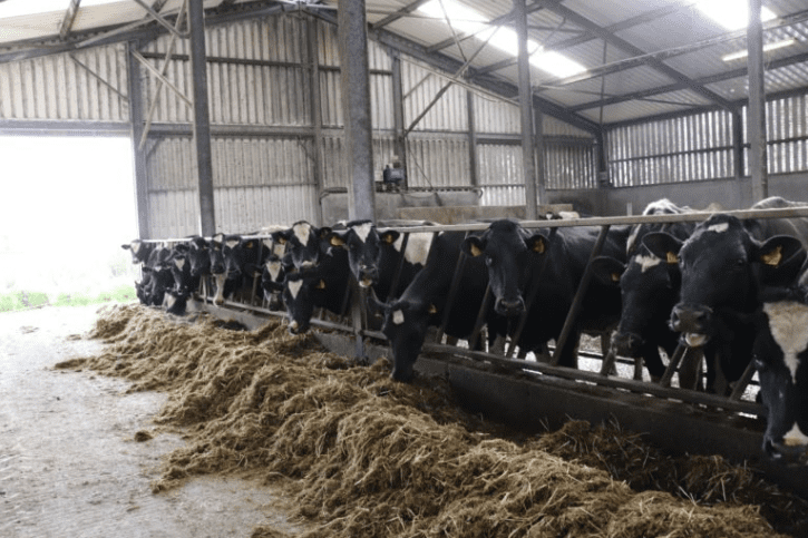 'Genetics is a key tool to help improve fertility'