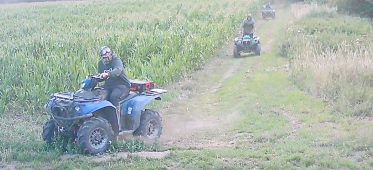 UK police investigating after crops destroyed by quads