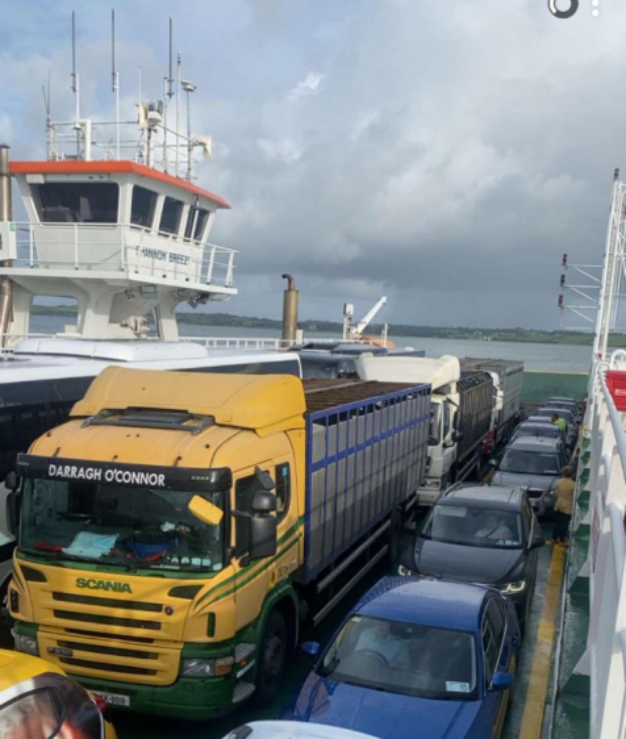 Keep them sailing, farmers in west Clare ferry calves to the mart