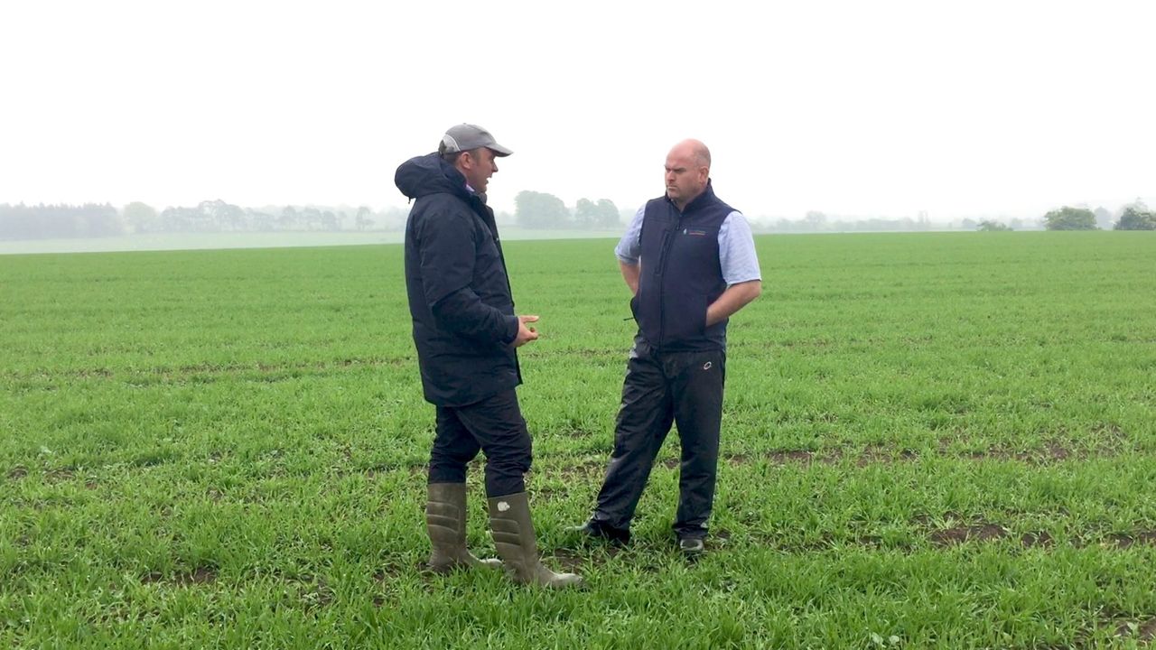 CROPS WATCH is back: Here's what we're looking at in 2018