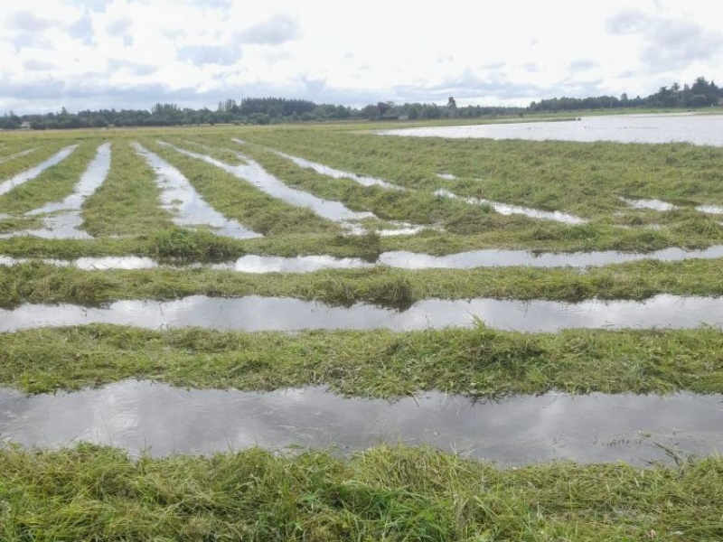 Shannon Callows flood payments ‘a once-off’ – Heydon