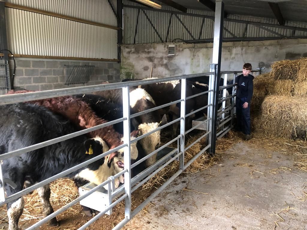 Meath teenager carves out a side hustle