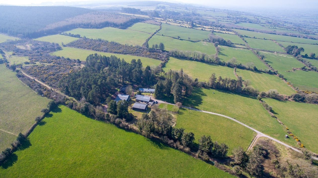 Price tag: 66ac residential farm in Co. Tipperary guiding at €650,000