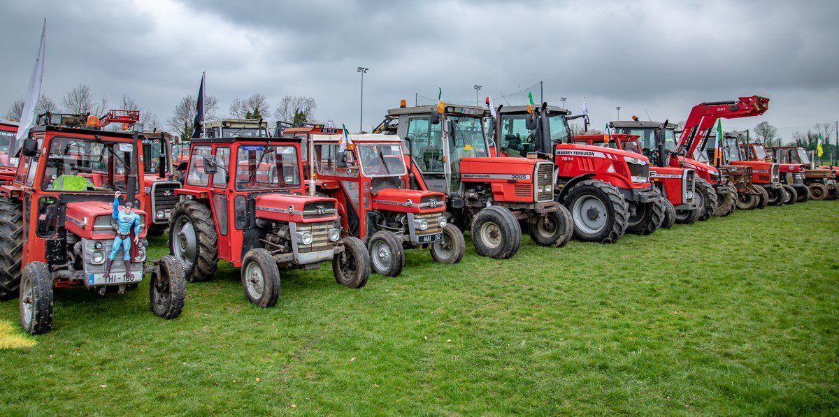 Video: 285 MF tractors in convoy; if she ain't red...