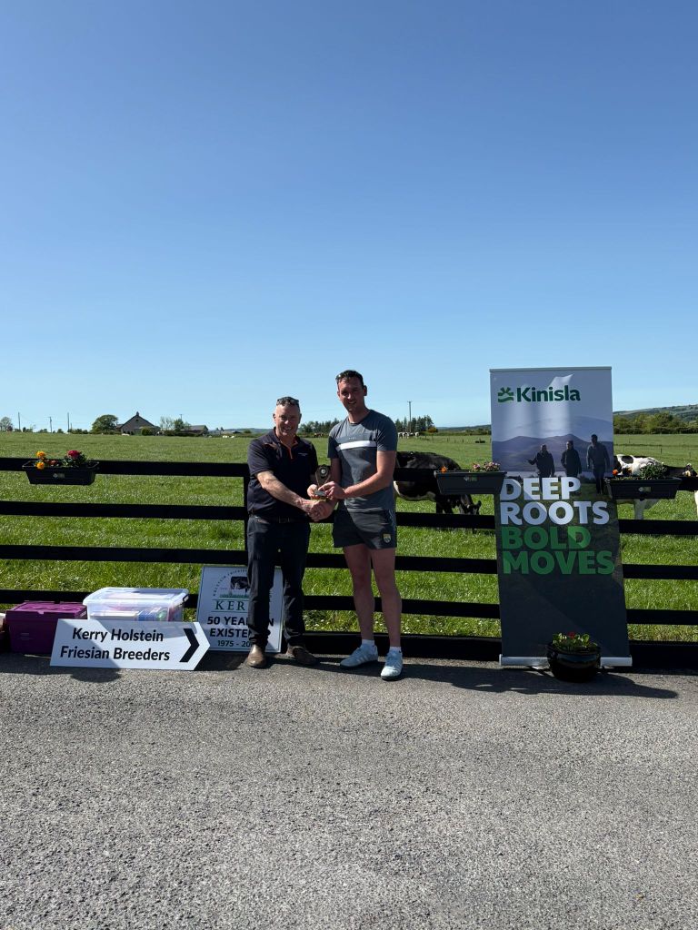 Eoin McCarthy, winner of the Senior class with Kinisla's John O'Keeffe. Source: Kerry Holstein Friesian breeders club