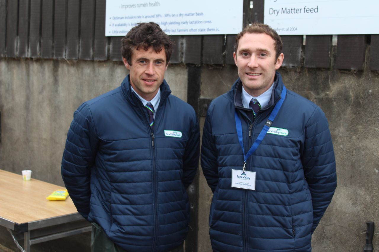 Alternative forages could significantly boost dairy diets