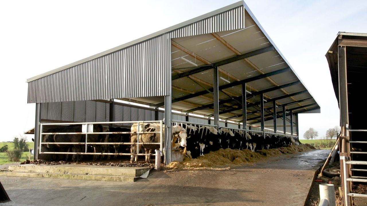 Why this Westmeath farmer enrolled on the Teagasc Green Acres Calf to Beef Programme
