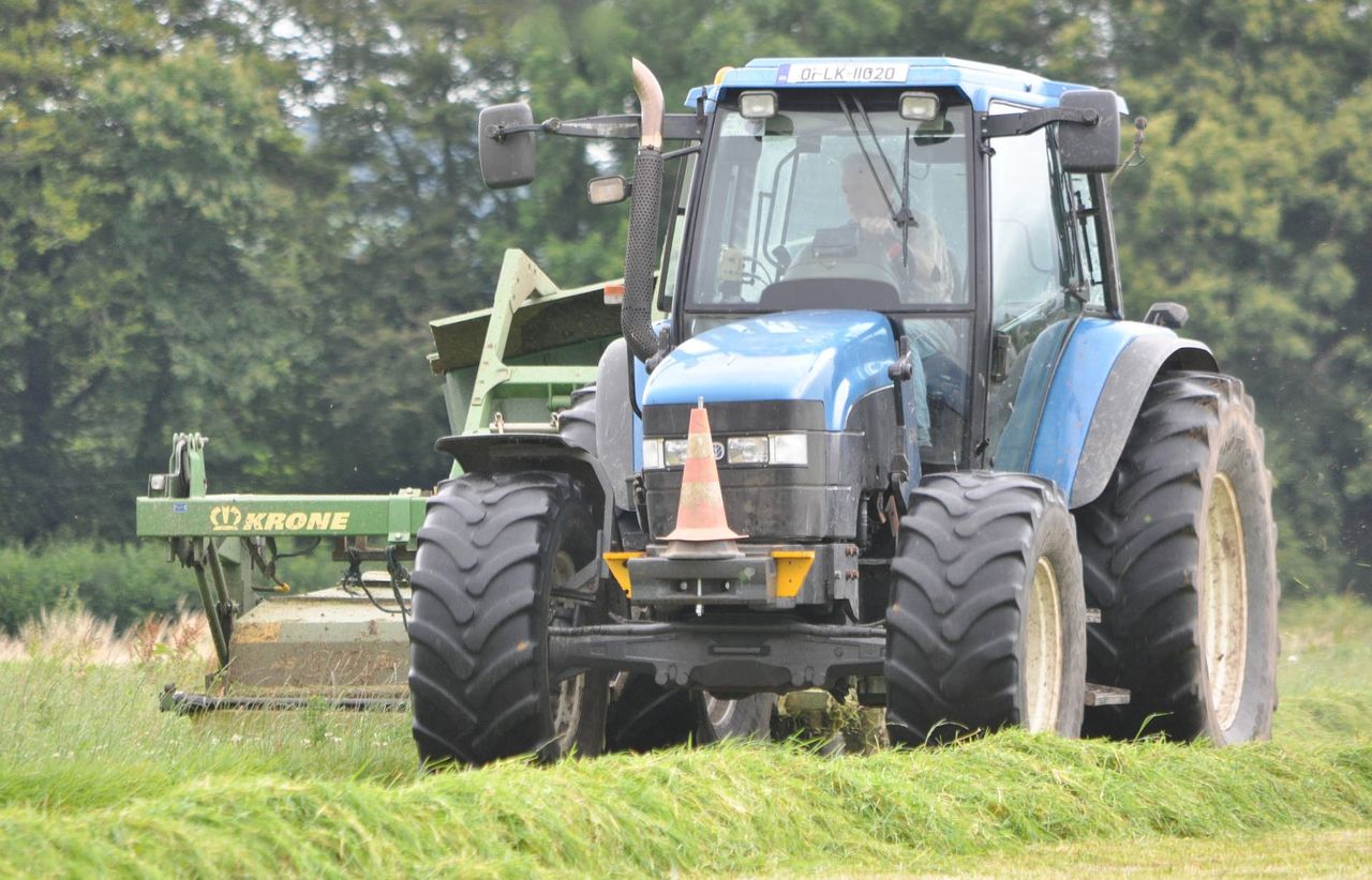 'We could be mowing second cuts in September'