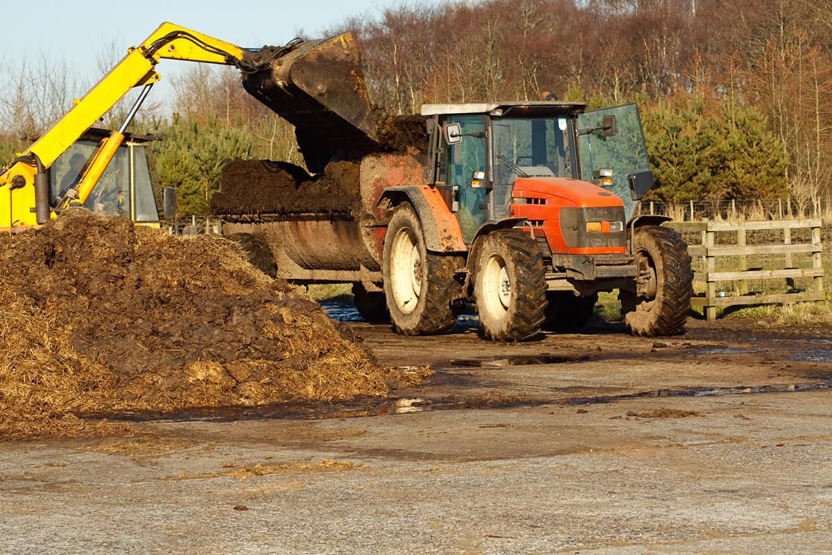 Changes to education rules for 2016 Young Farmers Scheme 'unworkable' says Macra
