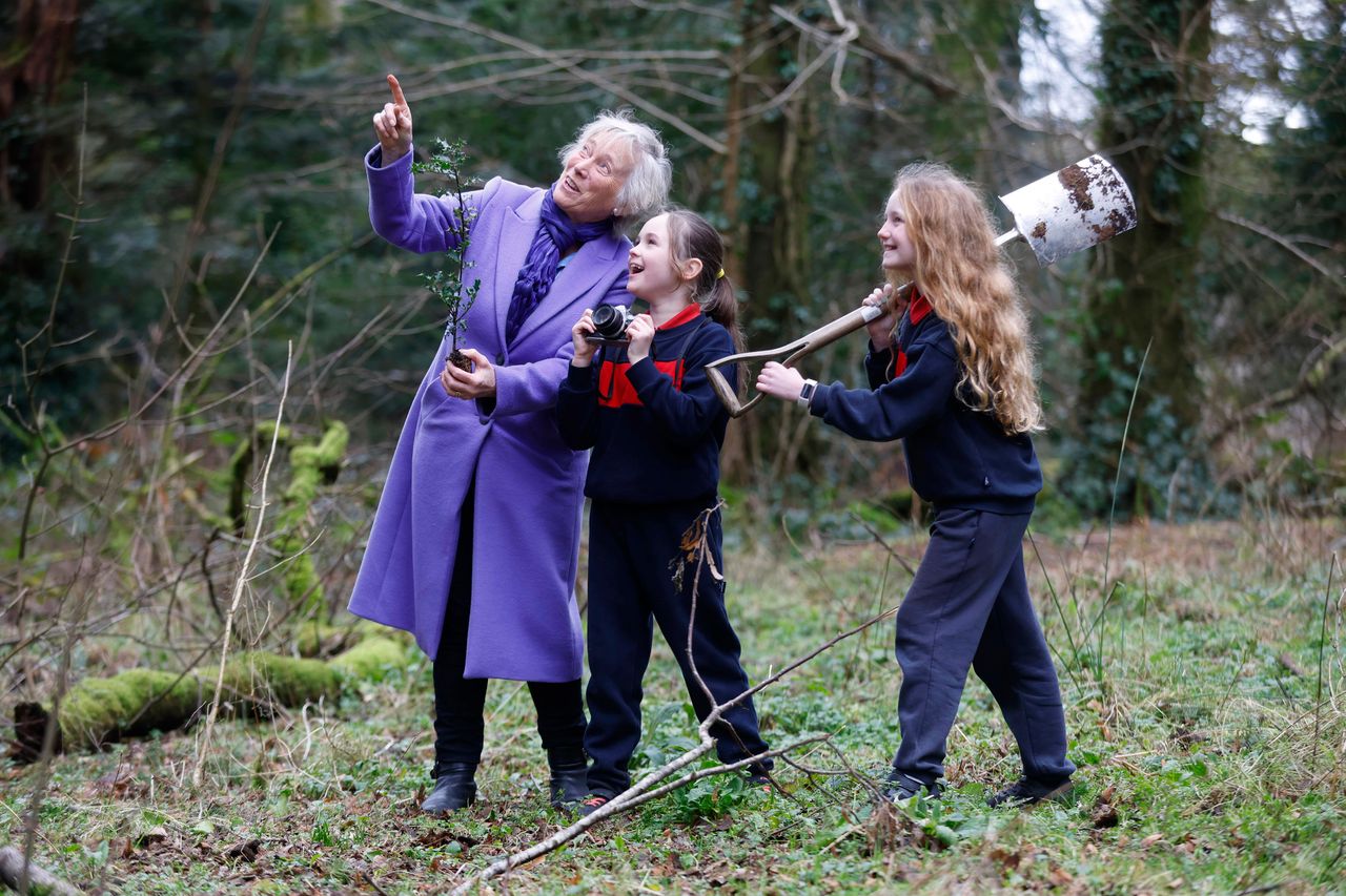 Coillte launches photo competition ahead of National Tree Week