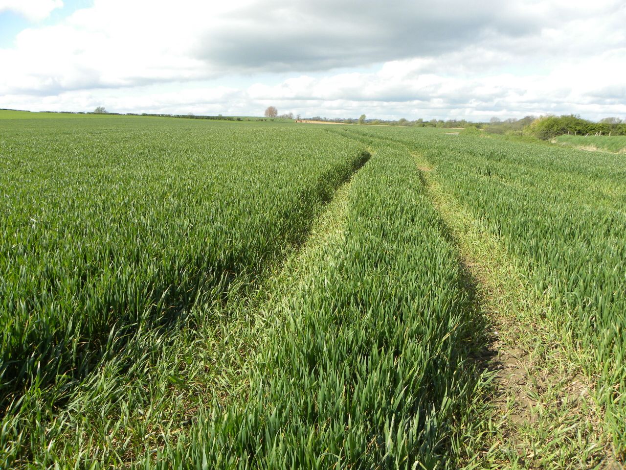 Tillage farm incomes rise 18% in 2018