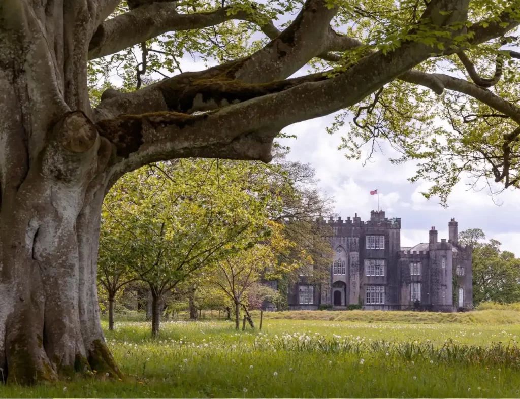 Birr Castle to host farmland biodiversity event