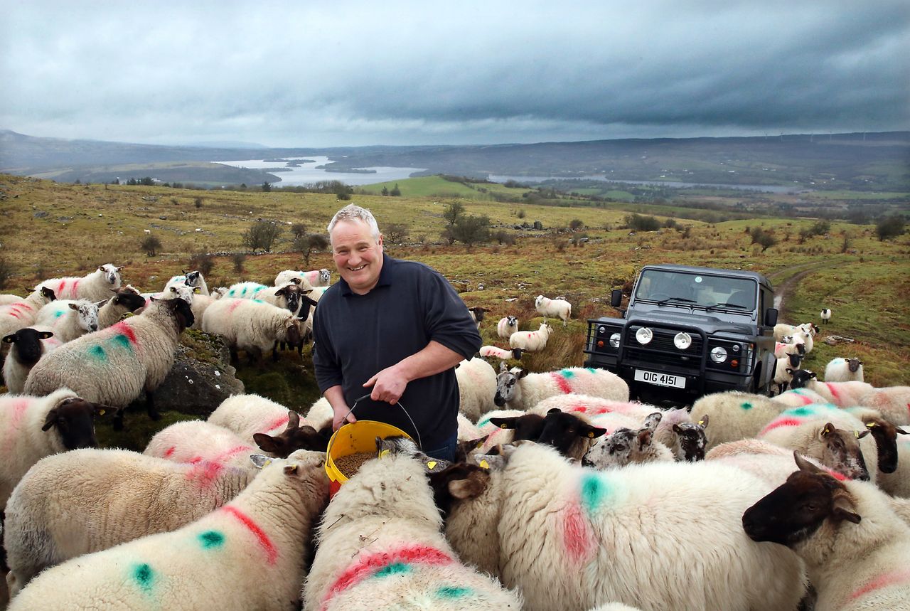 Sheep, sucklers and saving lives... all in a day's work for one Fermanagh farmer
