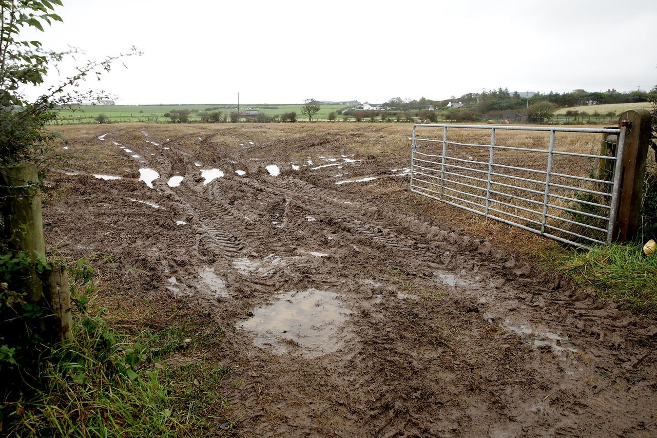Farmers advised that 'good decisions now protect soil structure'