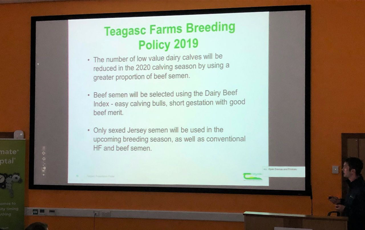 Teagasc outlines its message to dairy farmers for the 2019 breeding season