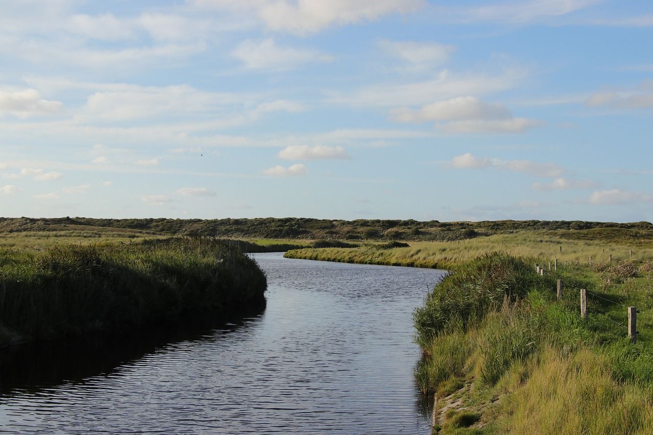 New guide to help farmers improve water quality in Wexford