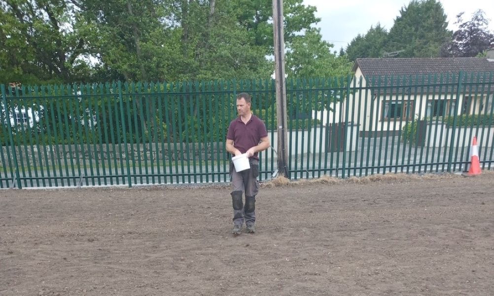 Carlow biodiversity project: 'Provide the habitat and they will come'