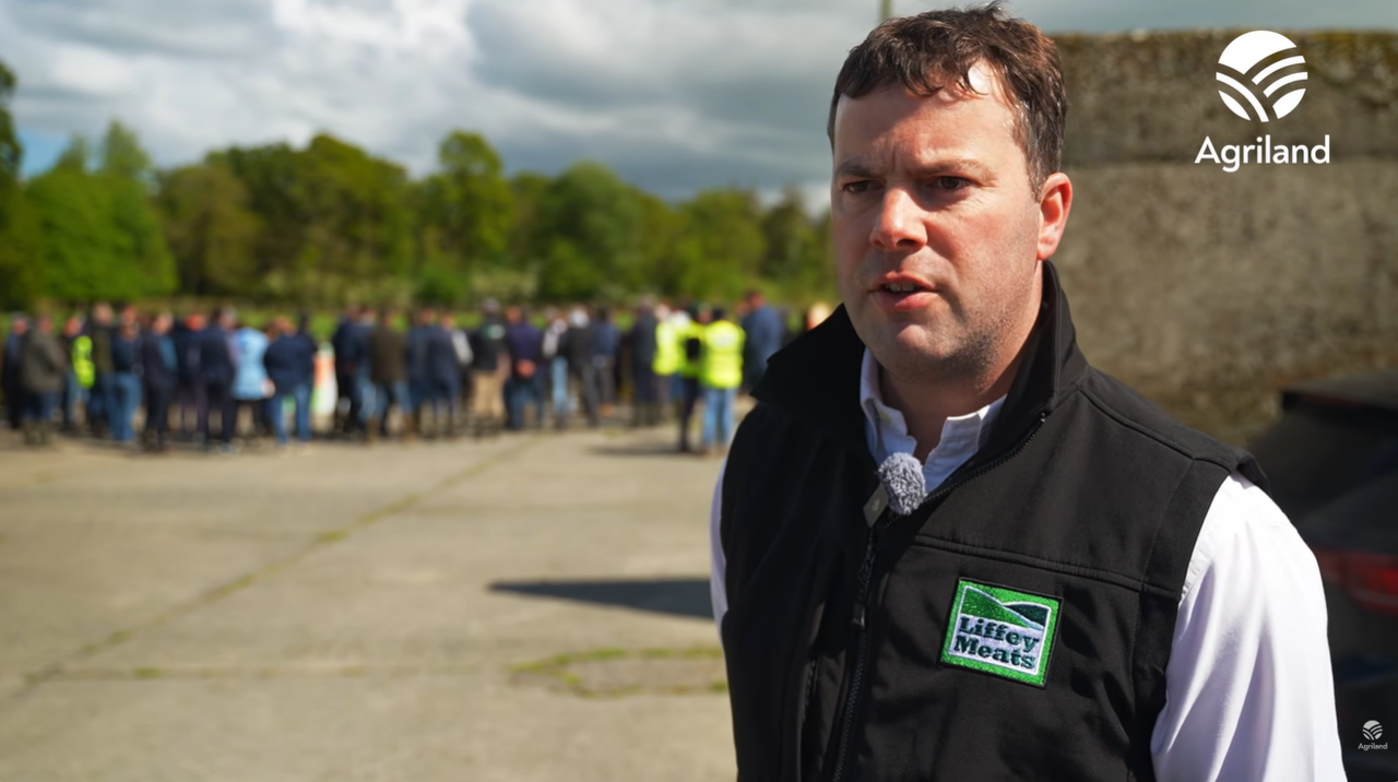 Watch: Liffey Meats event showcases 95-cow Longford suckler-beef farm