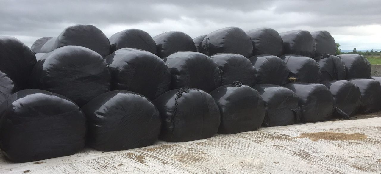 TD expects 'at least 70,000' farmers need fodder support