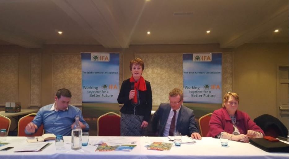 Women continue to stamp their mark on the IFA