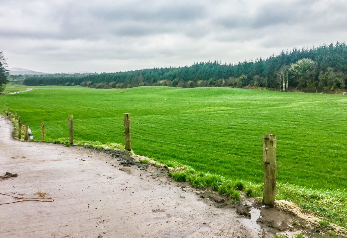 Dairy focus: Breaking rock, turning bog and producing 550kg of solids in Co. Cork