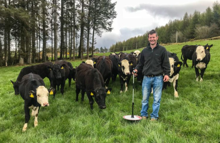 Revisited: How this beef farmer influenced his dairy siblings on sire selection