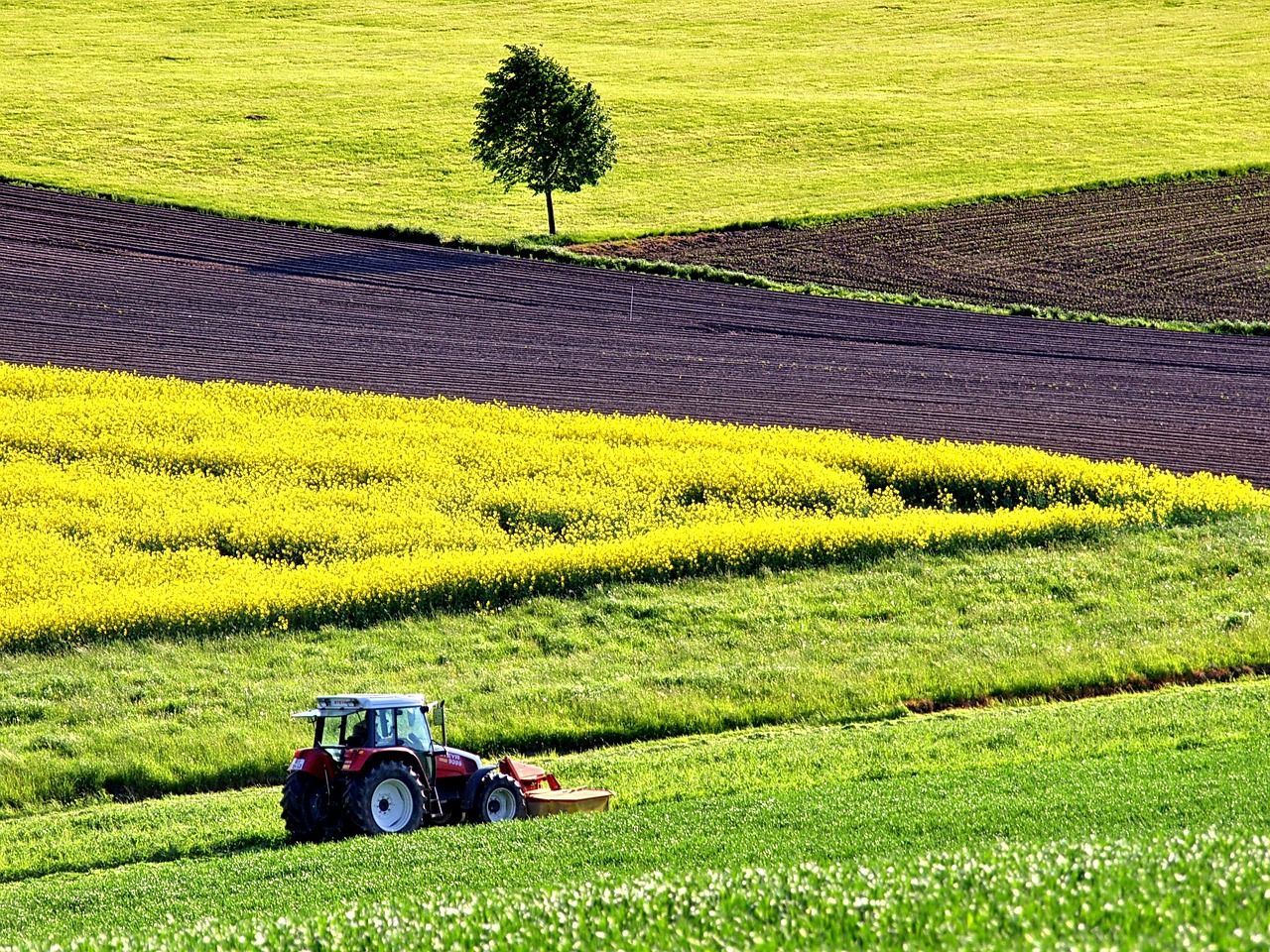 Heydon: 'I want to restore farmers' confidence in ACRES'