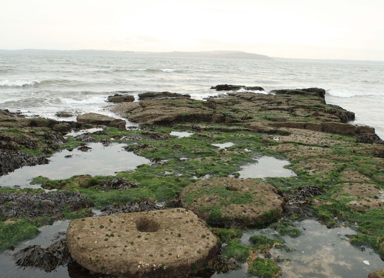Millstone quarries serving as a reminder of Wexford's farming past