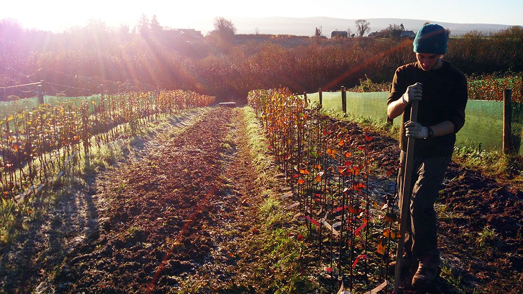 Seed Savers is June Farming for Nature ambassador