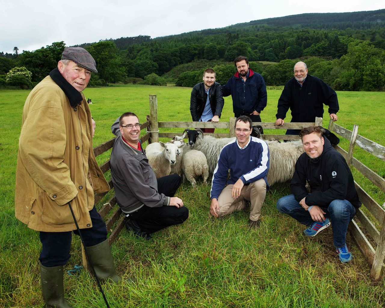 Sheep-herding with Tourism Ireland