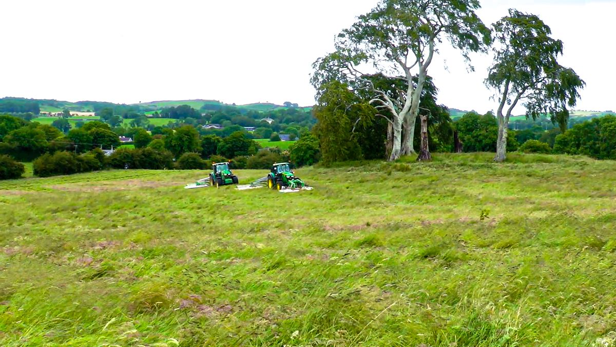 Teagasc outlines carbon value of hedges and grassland