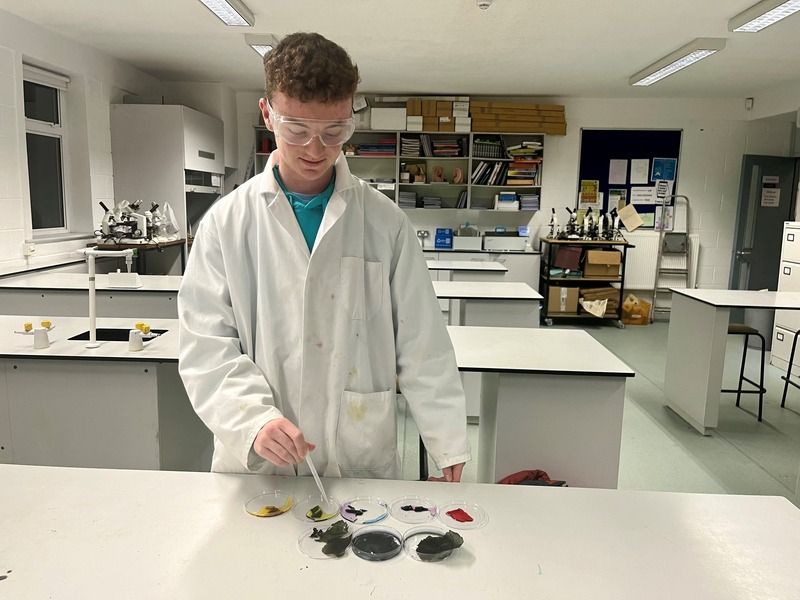Waterford student keen to enhance food safety with BTYSTE project