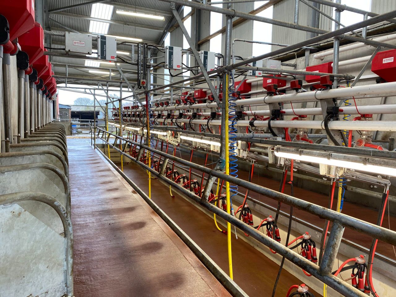 Buildings Focus: 18-unit parlour and 104 cubicles in Sligo