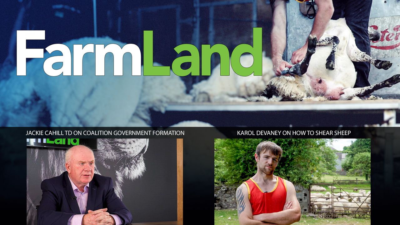 FarmLand: Agri insight on government talks; and shearing with the best