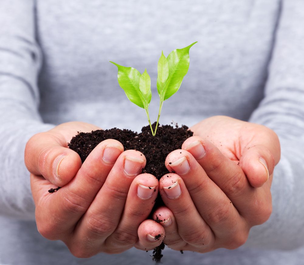 Seed companies commit to global food sustainability