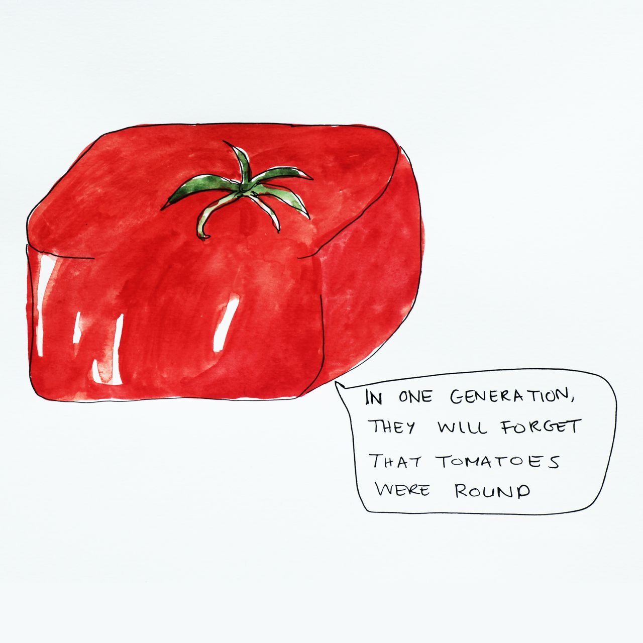 The Square Tomato by Lisa Fingleton