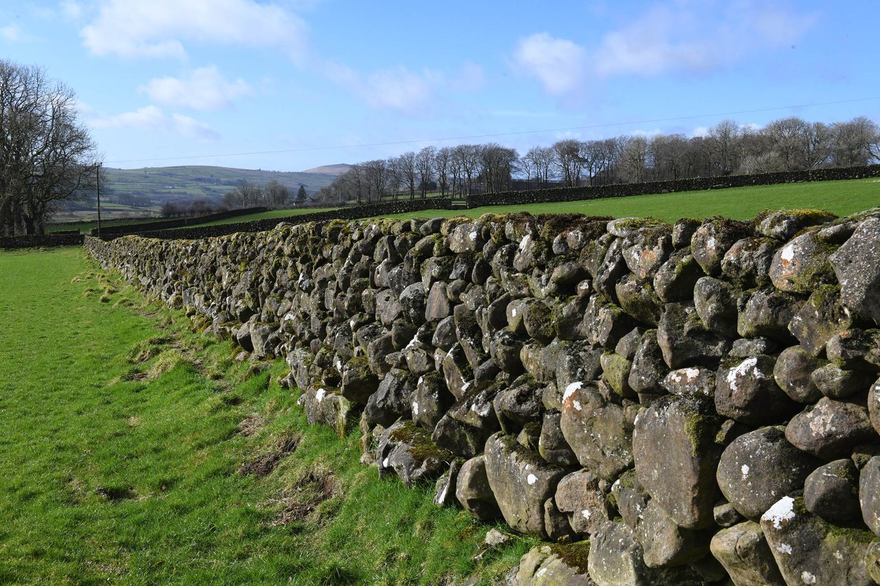CAFRE to host free dry stone walling training courses