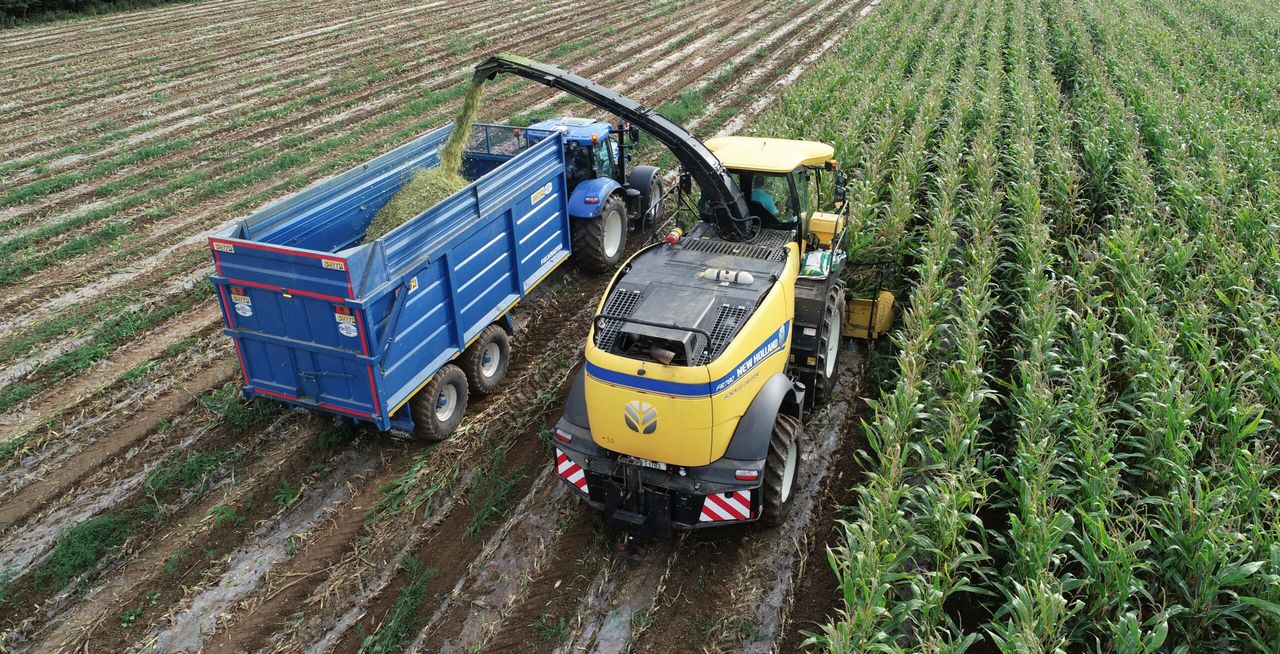Find out why this Co. Tipperary contractor is an 'FR' fanatic