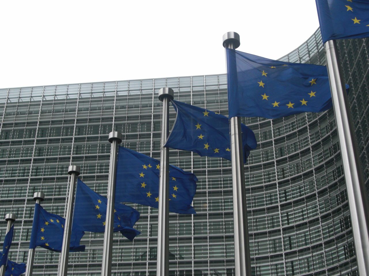 Brussels draws battle line on farmer access to beef fund