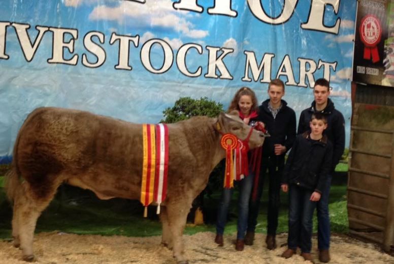 Cattle marts: Champion heifer sells for €2,800 at Raphoe Mart