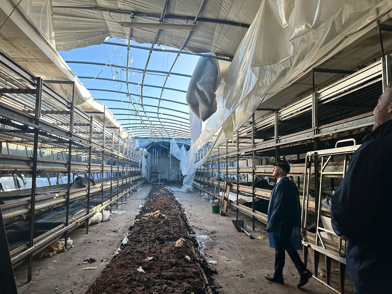 Initial estimates show €4.5m in storm damage to horticulture