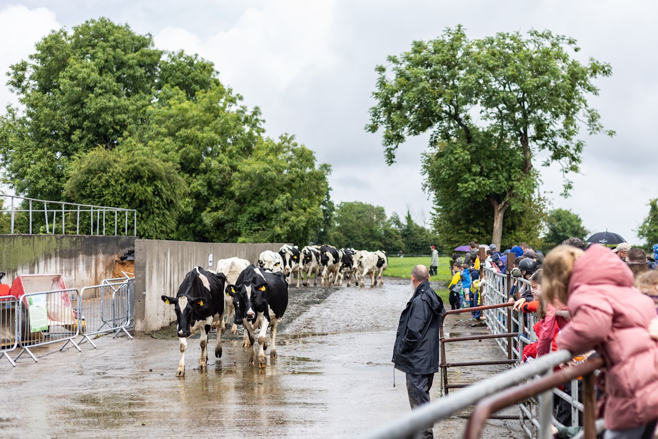 96% of Open Day visitors say farms have high animal welfare