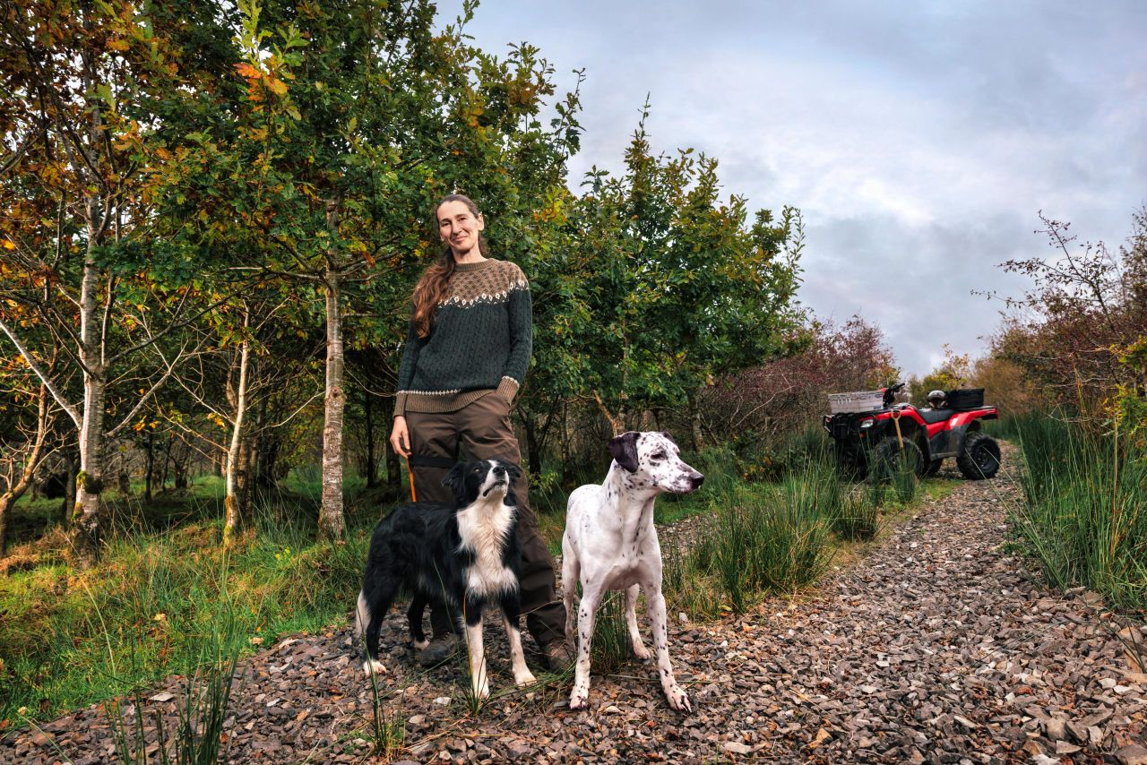 'A lot to be gained from planting forestry on your land' - Clare suckler farmer