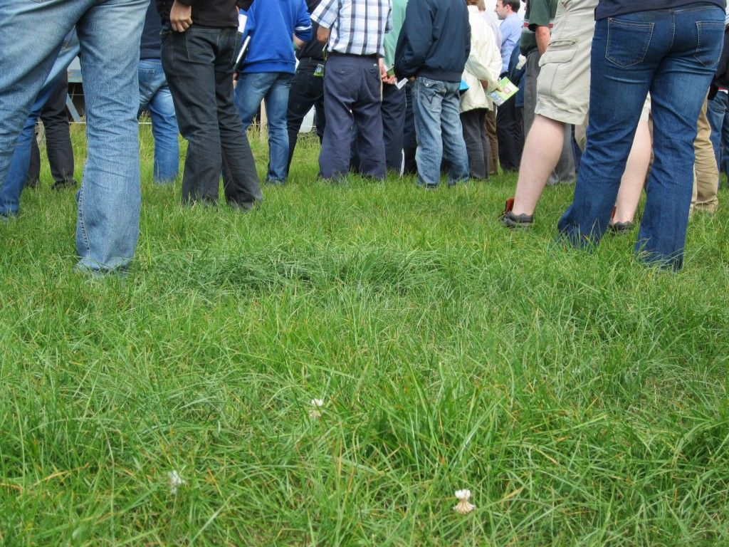 Farmers won't know until August if they have GLAS approval