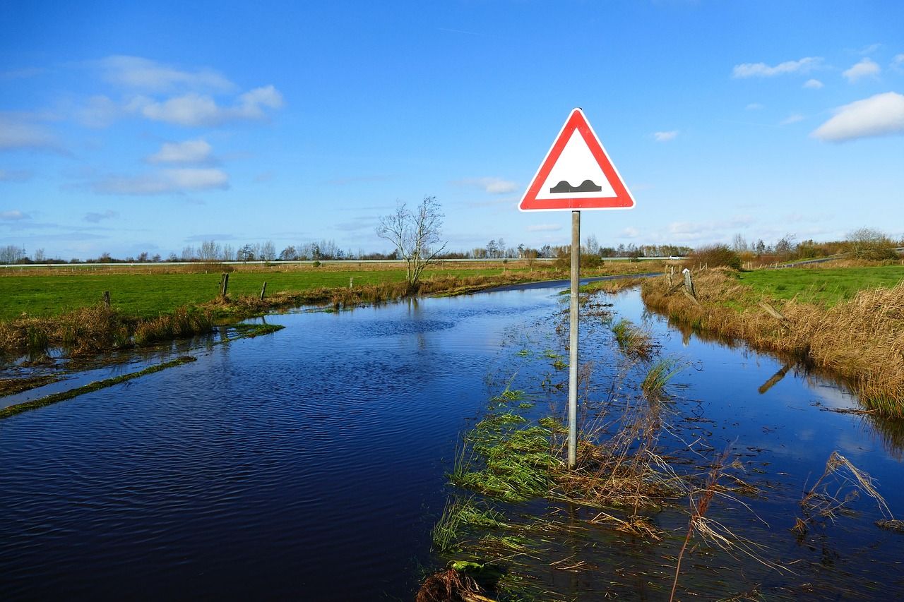 Flooding in south Roscommon causing alarm for farmers