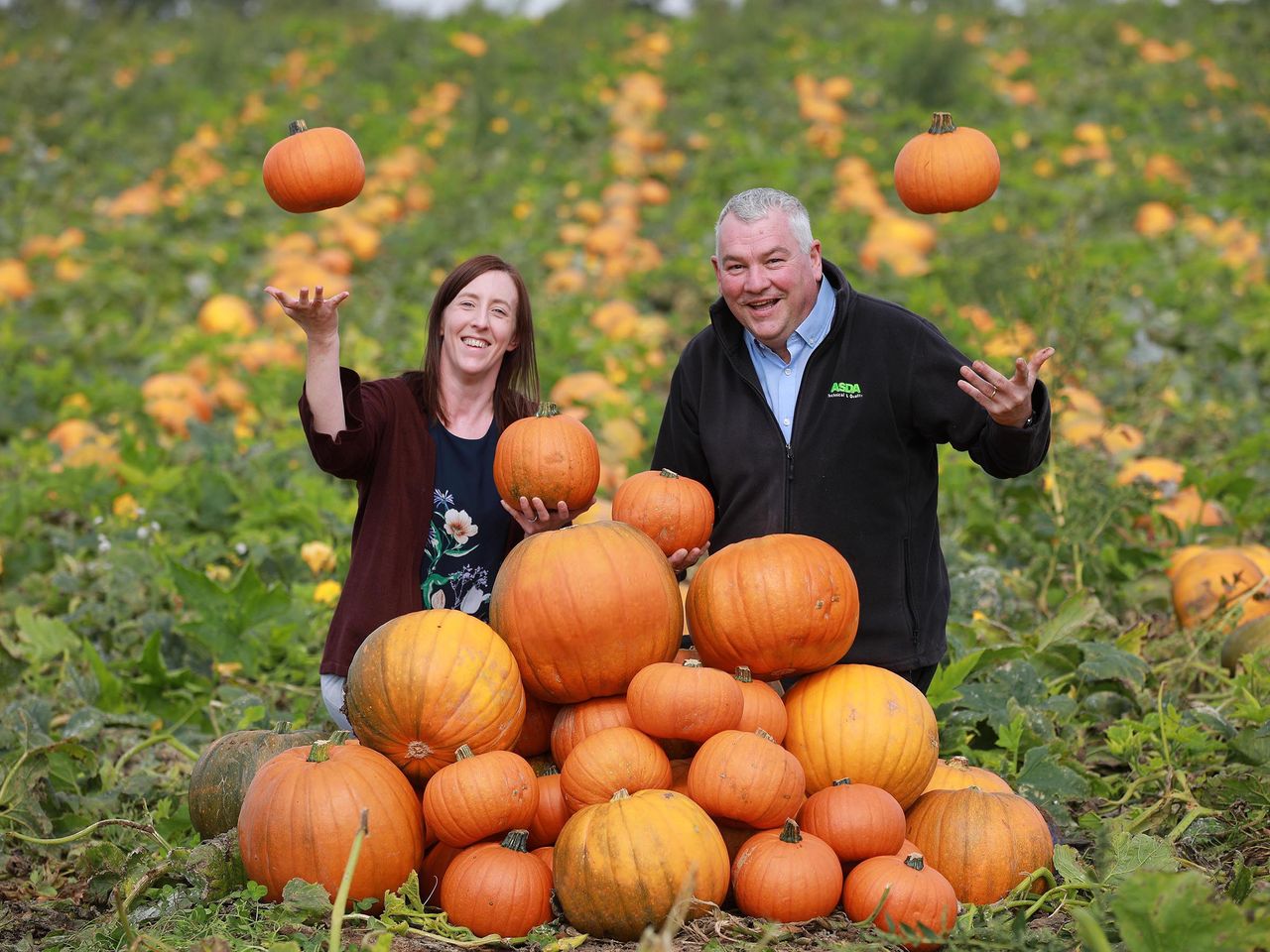 Gilfresh ‘carves’ the way as Asda's first NI-based pumpkin supplier