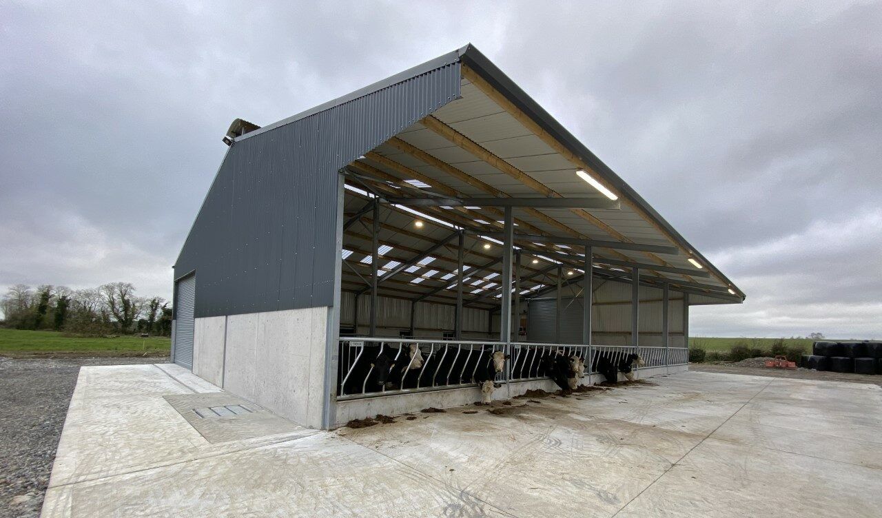 Buildings Focus: Putting 320 hours into building a 5-bay shed in Offaly